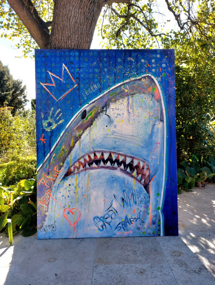 Meeting with the Great White Shark - Thumbnail 2