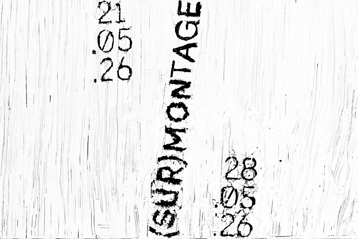 (SUR)MONTAGE